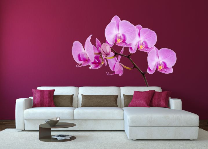 Orchidea falmatrica faltetoválás LCDF-SZ009
