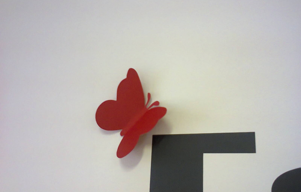 3D pillangó falra (5db)